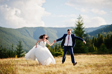 Lovely wedding couple at amazing landscapes of Carpathian mountains.