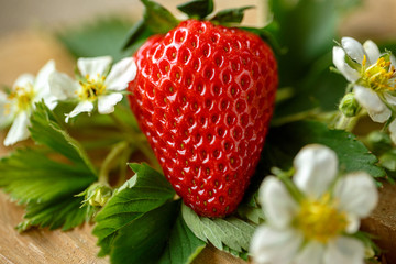 close up fresh strawberries .
