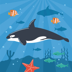 Obraz na płótnie Canvas Illustration of Killer Whale Underwater