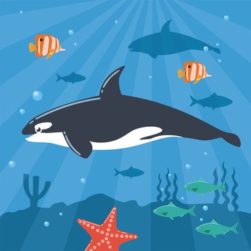Illustration of Killer Whale Underwater