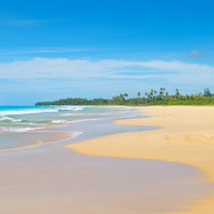 Beautiful ocean, long sandy beach and tropical vegetation