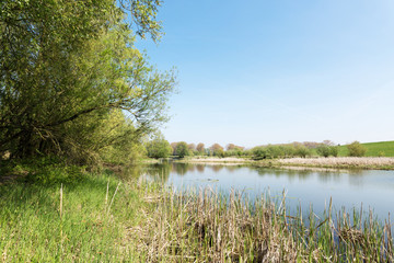 View towards Kekedom Dike / Netherlands