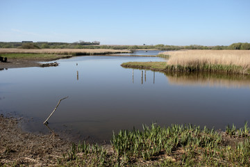 Stodmarsh National Nature Reserve