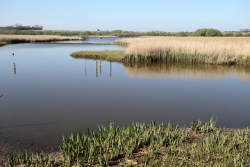 Stodmarsh National Nature Reserve