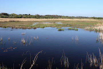 Stodmarsh National Nature Reserve