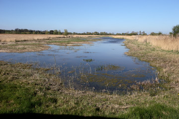 Stodmarsh National Nature Reserve