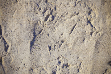 rough rock wall texture or background