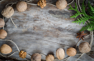 Walnuts on aged wood from a branch of the thuja