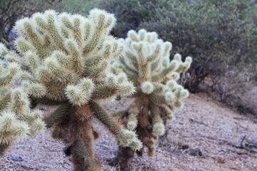 Pinnacle Peak Park - Scottsdale