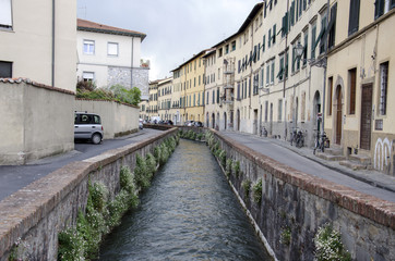 Fototapeta na wymiar Lucca, via del Fosso.