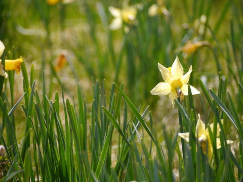 Eifel Perlenbachtal 20