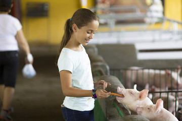 Lovely Girl feeds Pig