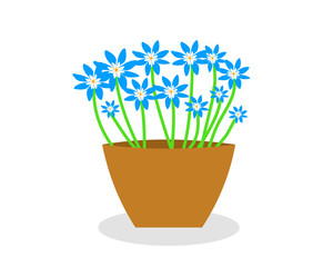 Blue flowers in a pot vector iamge