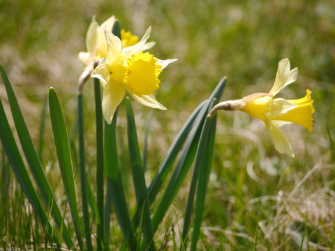 Eifel Perlenbachtal 29