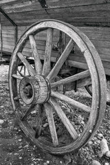 Fototapeta na wymiar Wagon Wheel