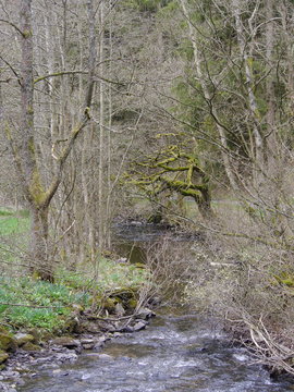 Eifel Perlenbachtal 35