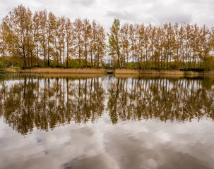 Springtime tree reflections in one of the lakes at Mere Brow Leisure Lakes, Tarleton, Southport,...