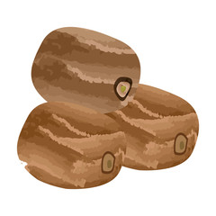 Isolated group of kiwis on a white background, Vector illustration