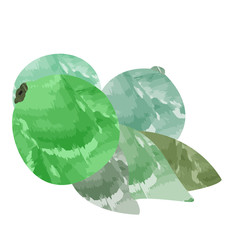 Isolated group of lemons on a white background, Vector illustration