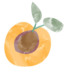 Isolated cut of a peach, Vector illustration