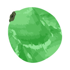 Isolated lemon on a white background, Vector illustration