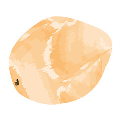 Isolated papaya on a white background, Vector illustration