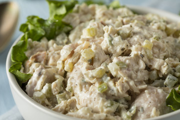 Homemade Healthy Chicken Salad