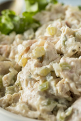Homemade Healthy Chicken Salad