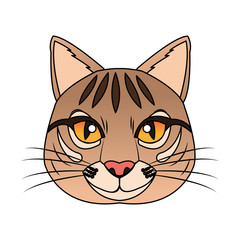 cat house pet icon image vector illustration design 