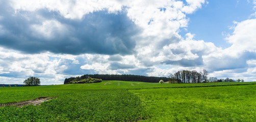 green meadow and field landscape