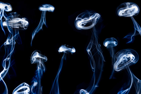 Meduses de fum&eacute;e