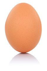 Braunes Ei Freisteller freigestellt isoliert