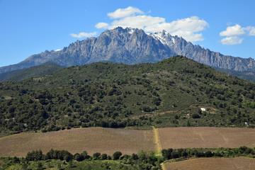 Fototapeta na wymiar Aiguilles de Popolasca au printemps en Corse
