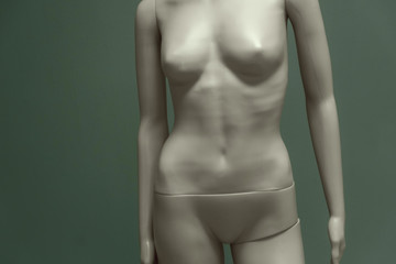 Naklejka premium Mannequin on a green background