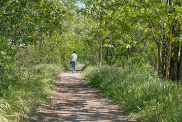Fototapeta na wymiar Persona che cammina nei boschi