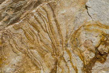 Rusty brown orange rock stripe texture