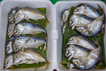 streamed mackerel