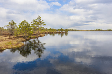 Fototapeta na wymiar Nature schenry of lake, trees and cloudy sky