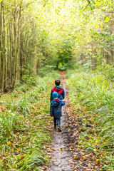 Obraz premium Two boys on footpath in english forest park