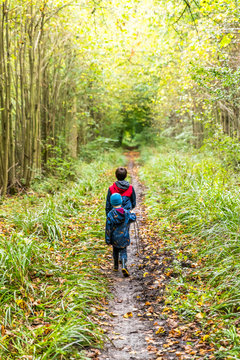 Two boys on footpath in english forest park