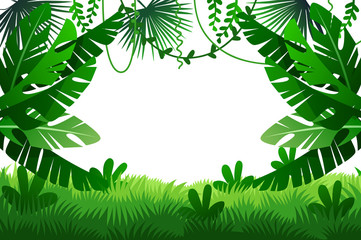 Obraz premium Jungle vector illustration. frame