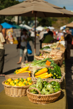 Farmers Market Squash