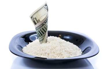 An isolated plate of rice and five dollars 