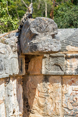 Fototapeta na wymiar Iguana on Mayan Ruins