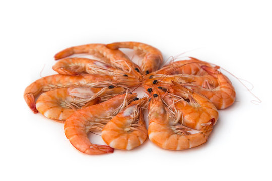 Crevettes