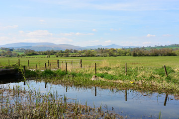 The Countryside Near Brecon, Powys, Wales.
