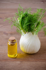 fresh fennel bulb and oil on wooden background, vertical selective focus