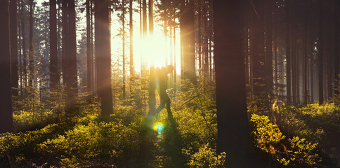 Young man in silent forrest with sunlight