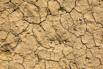 background of dried cracked earth