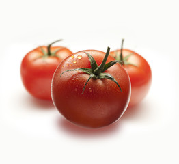 Fresh tomatoes